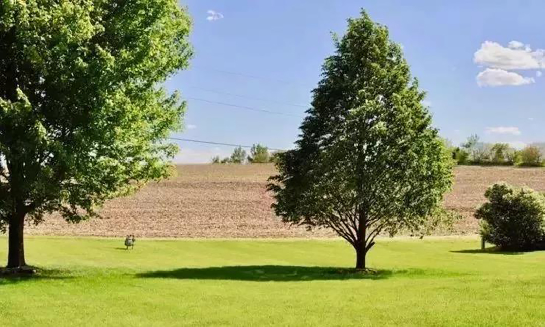 植樹節|守護綠色家園的秘密武器！