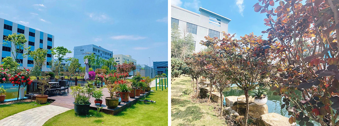 植樹節|守護綠色家園的秘密武器！