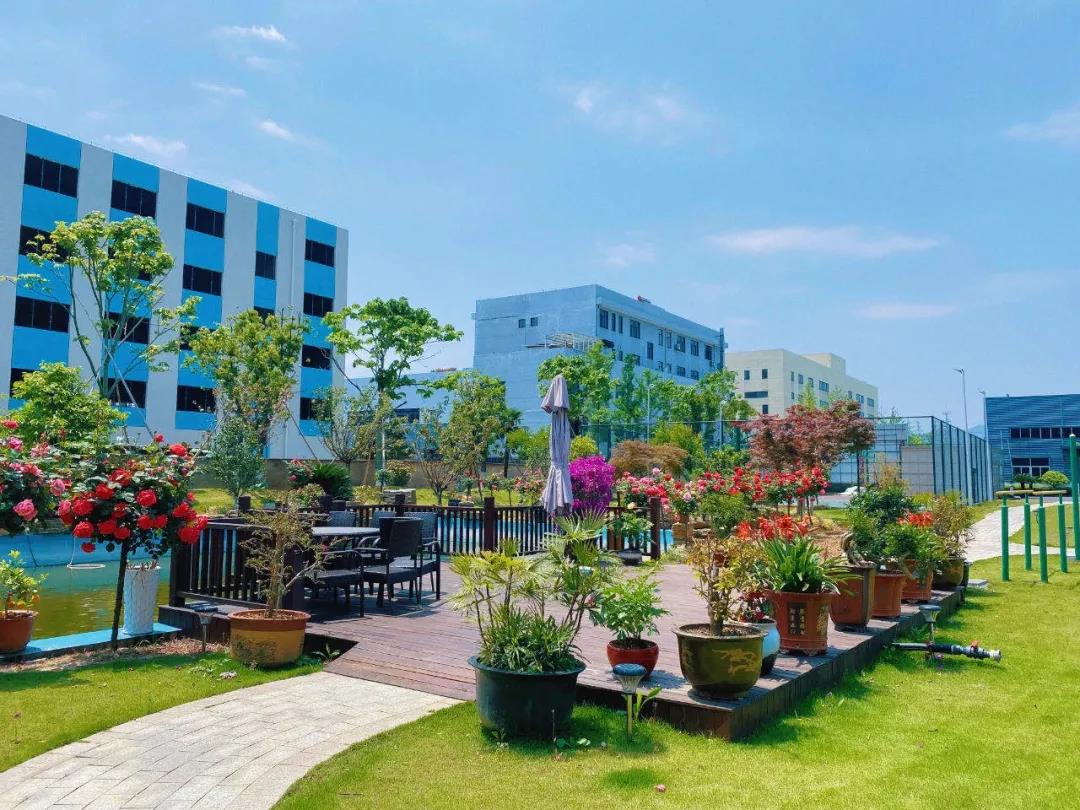 風景這邊獨好！東大環境美景一覽，請查收