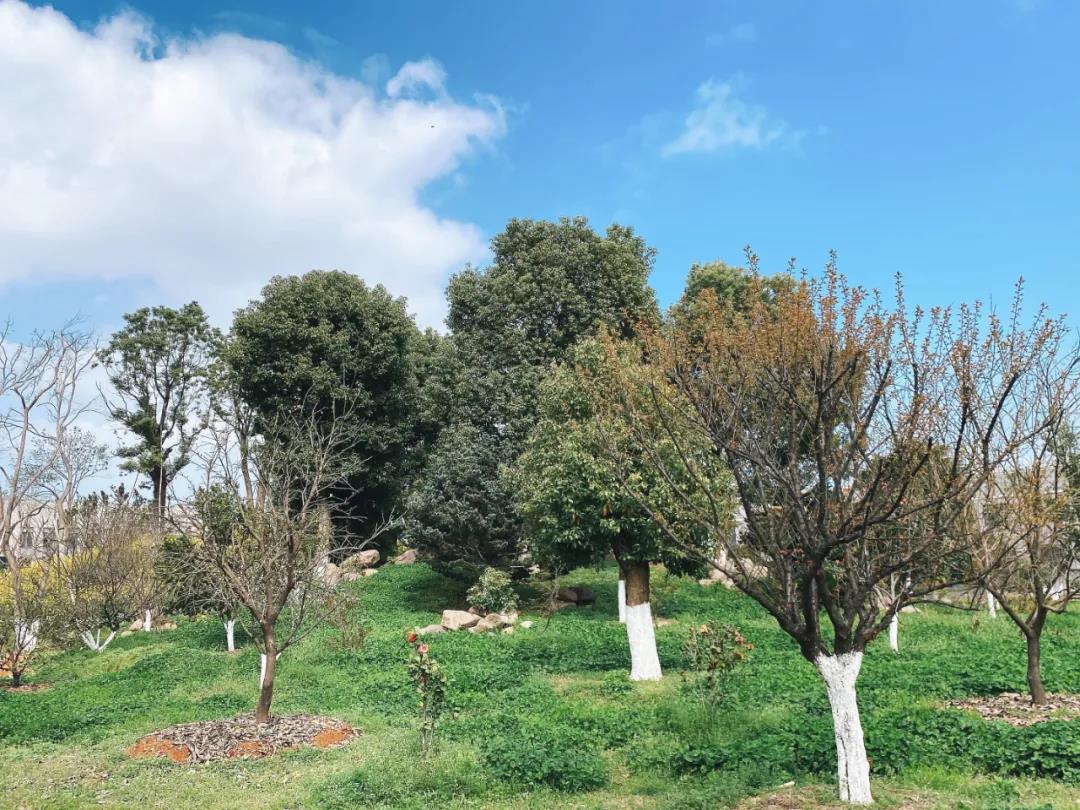 風景這邊獨好！東大環境美景一覽，請查收