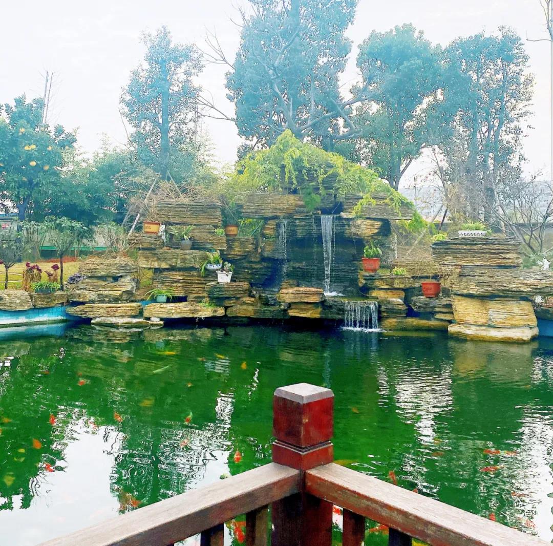 風景這邊獨好！東大環境美景一覽，請查收