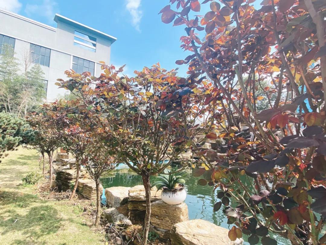 風景這邊獨好！東大環境美景一覽，請查收