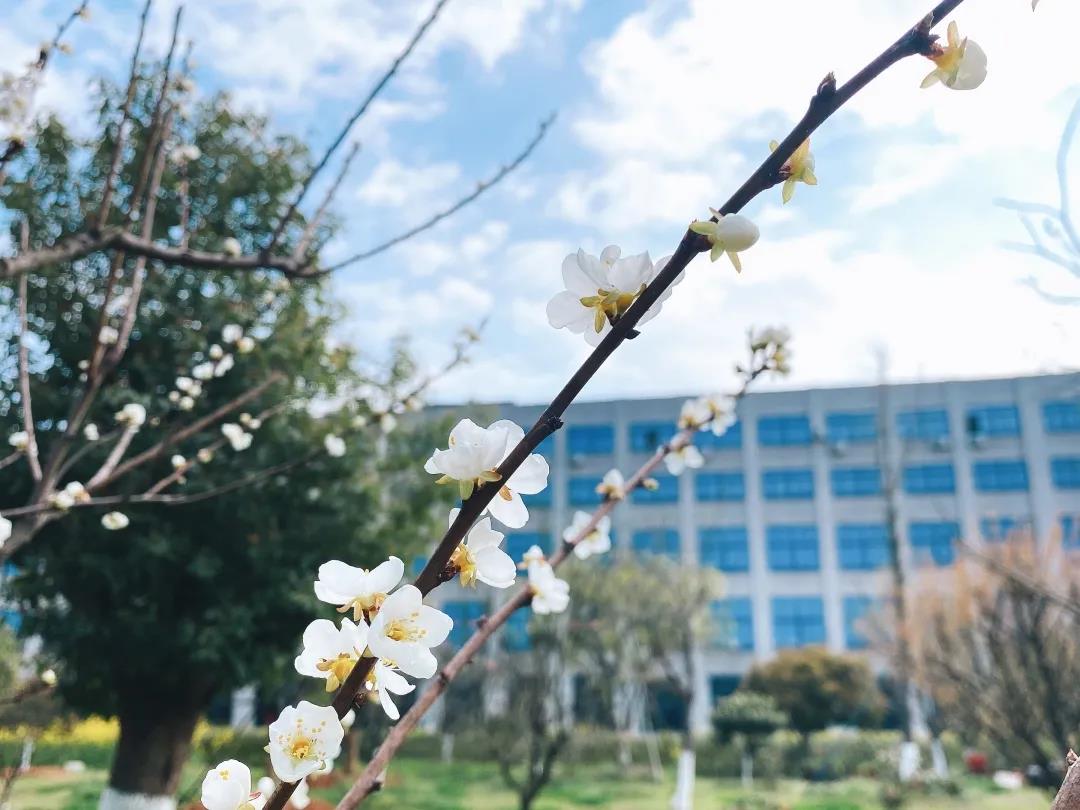 風景這邊獨好！東大環境美景一覽，請查收