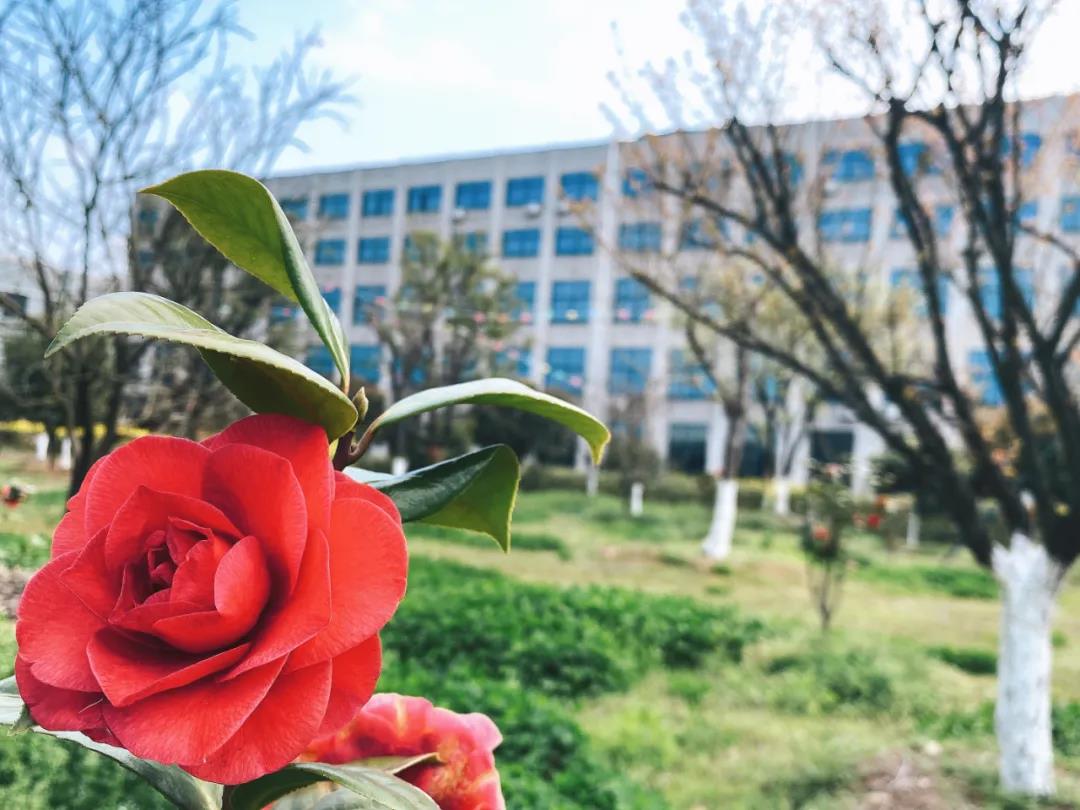 風景這邊獨好！東大環境美景一覽，請查收